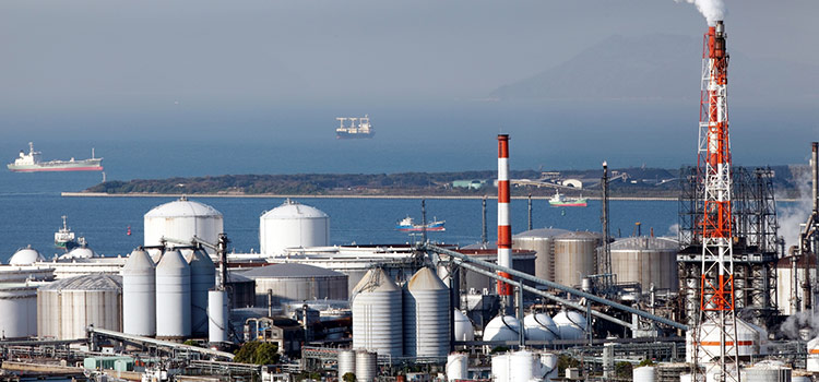 1xBet Slot RTP Guide 2026: Everything You Need to Know